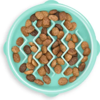 Outward Hound Koiratarvikkeet^Ahmimisenestokuppi Aalto