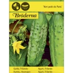 Bröderna Nelsons Kasvien Ja Nurmikonsiemenet-Avomaankurkku Vert Petit De Paris Siemen
