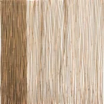 4living Puutarhakatokset Ja Aurinkovarjot-Bambuaita 2 X 5 M