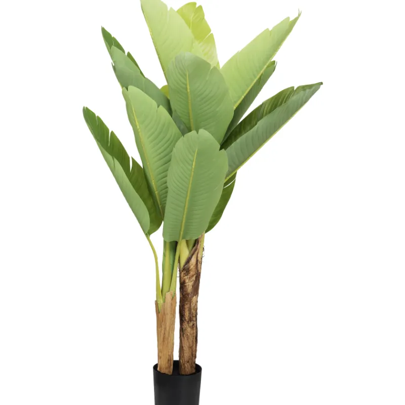 banaanipuu-kotikulta-120-cm-boOdSnEA-0.webp Kotikulta Tekokasvit-Banaanipuu 120 Cm