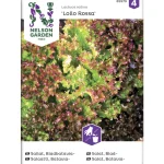 Nelson Garden Basic Kasvien Ja Nurmikonsiemenet-Bataviasalaatti Siemen Lollo Rossa