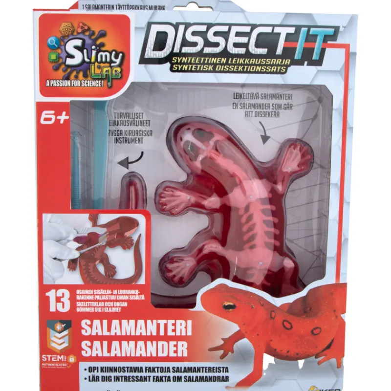 dissect-it-salamanteri-QYxxPwUO-0.webp Sisälelut^Dissect It Salamanteri