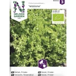 Nelson Garden Basic Kasvien Ja Nurmikonsiemenet-Endiivisalaatti Siemen Wallone Organic
