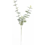 Kotikulta Tekokasvit-Eukalyptusoksa 74 Cm