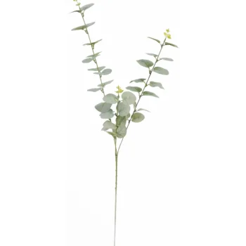 Kotikulta Tekokasvit-Eukalyptusoksa 74 Cm