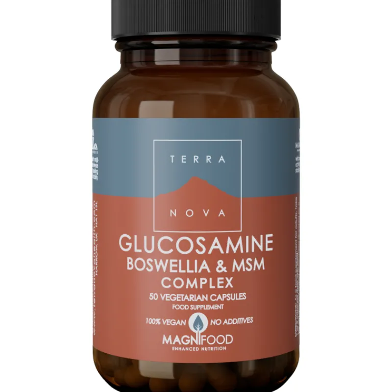 glucosamiini-terranova-50-kpl-hJwDOhue-0.webp Terranova Terveysravinteet Ja -valmisteet^Glucosamiini 50 Kpl Boswellia & MSM Complex