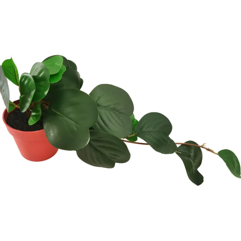 herttaposliinikukka-kotikulta-XGYbgQCI-0.webp Kotikulta Tekokasvit-Herttaposliinikukka 38 Cm Ruukussa