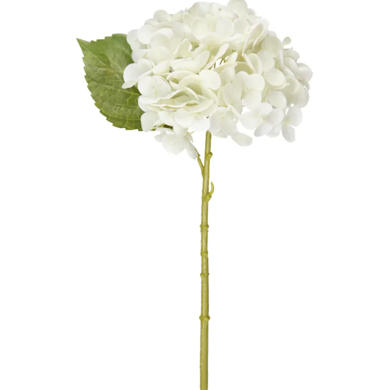hortensia-kotikulta-32-cm-valk-TBtKzVpu-0.webp Kotikulta Tekokasvit-Hortensia 32 Cm Valkoinen