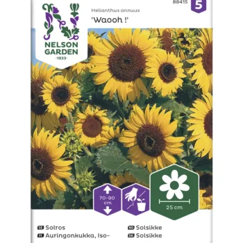 Nelson Garden Basic Kasvien Ja Nurmikonsiemenet-Isoauringonkukka Siemen Waooh