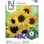 Nelson Garden Basic Kasvien Ja Nurmikonsiemenet-Isoauringonkukka Siemen Moonwalker