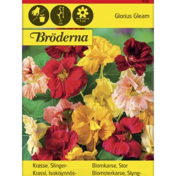Bröderna Nelsons Kasvien Ja Nurmikonsiemenet-Isoköynnöskrassi Glorious Gleam Siemen