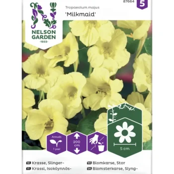 Nelson Garden Basic Kasvien Ja Nurmikonsiemenet-Isoköynnöskrassi Siemen Milkmaid