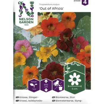 Nelson Garden Basic Kasvien Ja Nurmikonsiemenet-Isoköynnöskrassi Siemen Out Of Africa