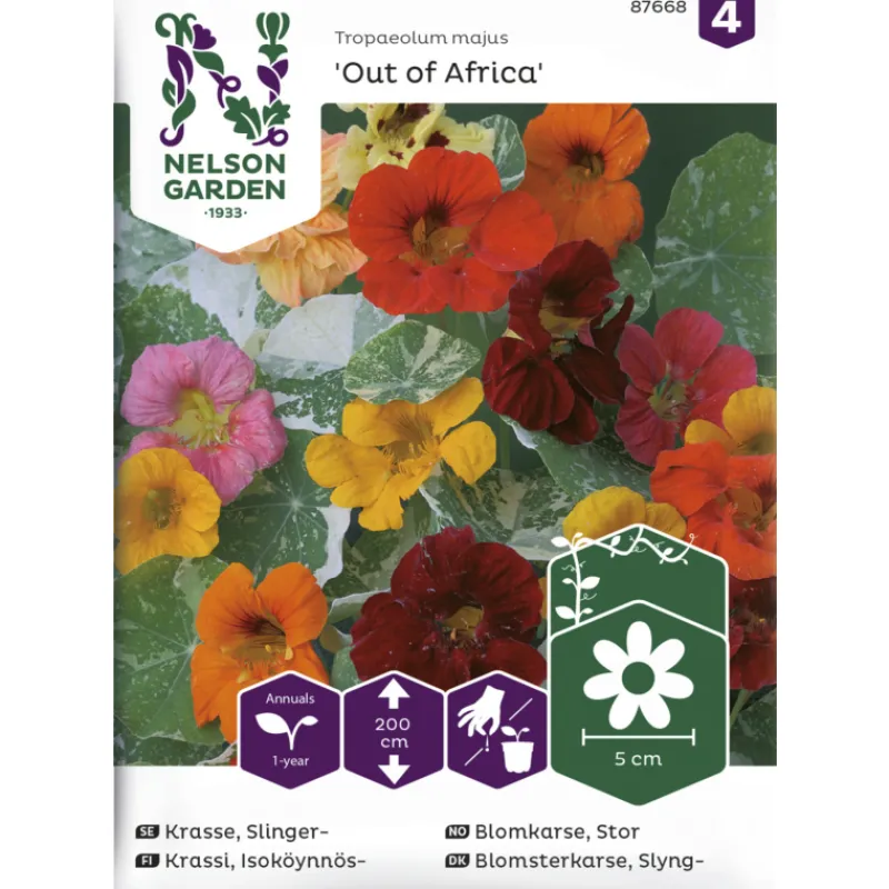 isokynnskrassi-siemen-nelson-g-TvtQoFjX-0.webp Nelson Garden Basic Kasvien Ja Nurmikonsiemenet-Isoköynnöskrassi Siemen Out Of Africa