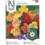 Nelson Garden Basic Kasvien Ja Nurmikonsiemenet-Isoköynnöskrassi Siemen Glorious Gleam