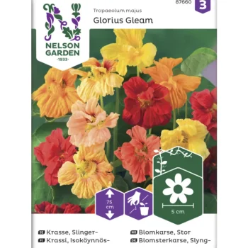 Nelson Garden Basic Kasvien Ja Nurmikonsiemenet-Isoköynnöskrassi Siemen Glorious Gleam