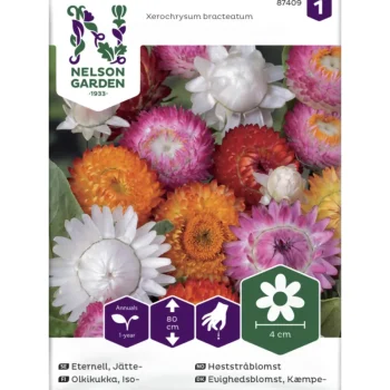 Nelson Garden Basic Kasvien Ja Nurmikonsiemenet-Isoolkikukka Siemen Väriseos