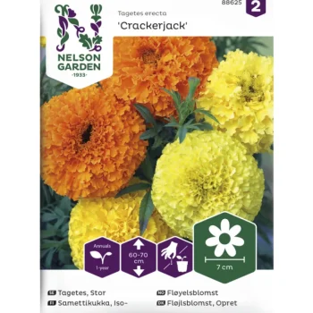Nelson Garden Basic Kasvien Ja Nurmikonsiemenet-Isosamettikukka Siemen Crackerjack