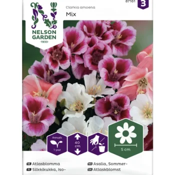 Nelson Garden Basic Kasvien Ja Nurmikonsiemenet-Isosilkkikukka Siemen Väriseos