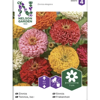 Nelson Garden Basic Kasvien Ja Nurmikonsiemenet-Isotsinnia Siemen Väriseos