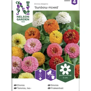 Nelson Garden Basic Kasvien Ja Nurmikonsiemenet-Isotsinnia Siemen Sunbow Väriseos