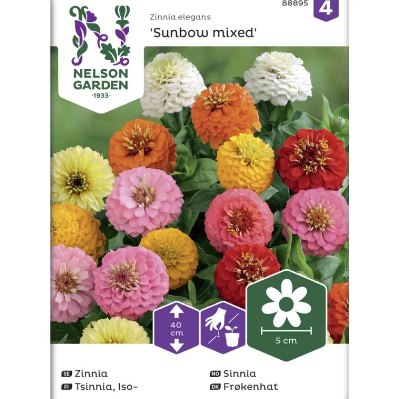 isotsinnia-siemen-nelson-garde-eXGzZzmN-0.webp Nelson Garden Basic Kasvien Ja Nurmikonsiemenet-Isotsinnia Siemen Sunbow Väriseos
