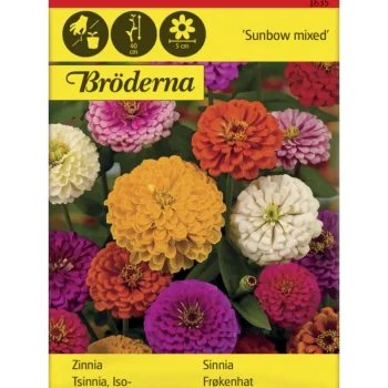 Bröderna Nelsons Kasvien Ja Nurmikonsiemenet-Isotsinnia Sunbow Väriseos Siemen