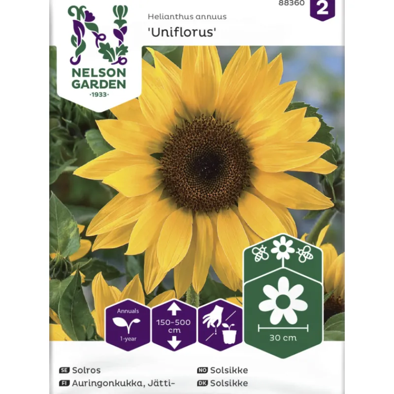 jttiauringonkukka-siemen-nelso-ElXAoqdG-0.webp Nelson Garden Basic Kasvien Ja Nurmikonsiemenet-Jättiauringonkukka Siemen Uniflorus