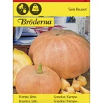 Bröderna Nelsons Kasvien Ja Nurmikonsiemenet-Jättikurpitsa Gele Reuzen Siemen