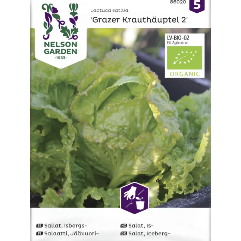 jvuorisalaatti-siemen-nelson-g-UtgPuONh-0.webp Nelson Garden Basic Kasvien Ja Nurmikonsiemenet-Jäävuorisalaatti Siemen Grazer Krauthäuptel
