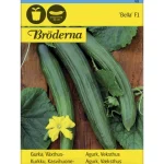 Bröderna Nelsons Kasvien Ja Nurmikonsiemenet-Kasvihuonekurkku Bella F1 Siemen