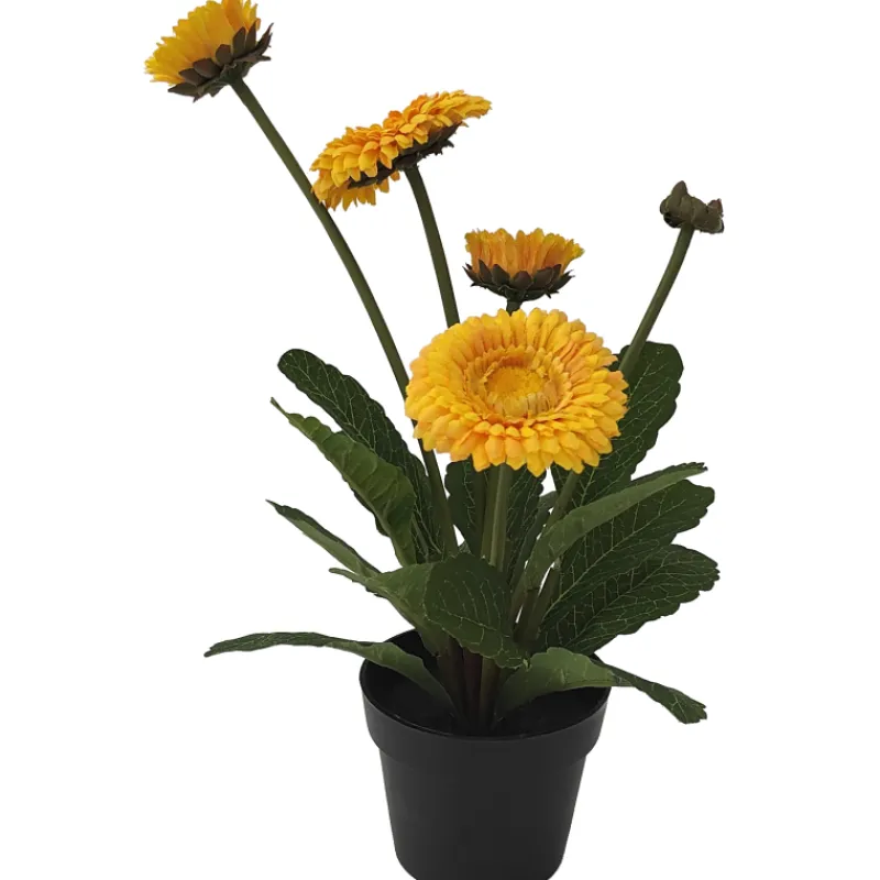 kaunokainen-kotikulta-30-cm-mOvRlwjN-0.webp Kotikulta Tekokasvit-Kaunokainen 30 Cm