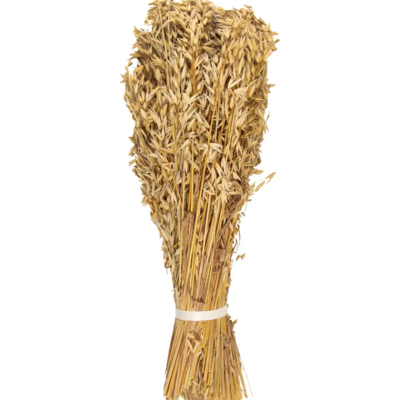 kauralyhde-heikkiln-tila-ulkol-eQgUSxig-0.webp Heikkilän Tila Linnunruoka^Kauralyhde Ulkolinnuille