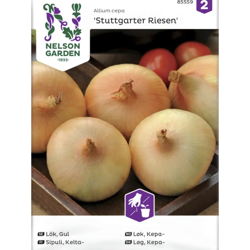 keltasipuli-siemen-nelson-gard-tuOKVanw-0.webp Nelson Garden Basic Kasvien Ja Nurmikonsiemenet-Keltasipuli Siemen Stuttgarter Riesen