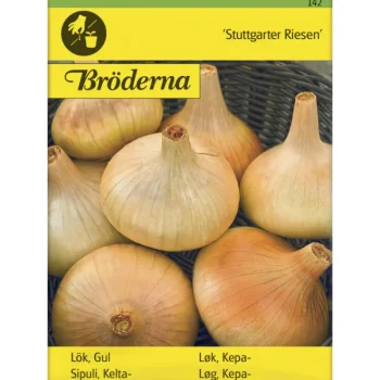 Bröderna Nelsons Kasvien Ja Nurmikonsiemenet-Keltasipuli Stuttgarter Riesen Siemen