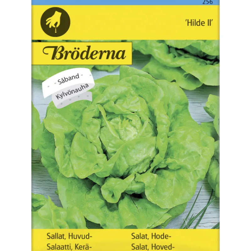 kersalaatti-hilde-ii-kylvnauha-UunzbLrU-0.webp Bröderna Nelsons Kasvien Ja Nurmikonsiemenet-Keräsalaatti Hilde II Kylvönauha Siemen