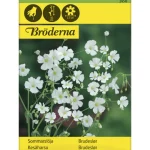 Bröderna Nelsons Kasvien Ja Nurmikonsiemenet-Kesäharso Siemen
