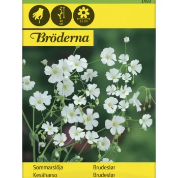 Bröderna Nelsons Kasvien Ja Nurmikonsiemenet-Kesäharso Siemen