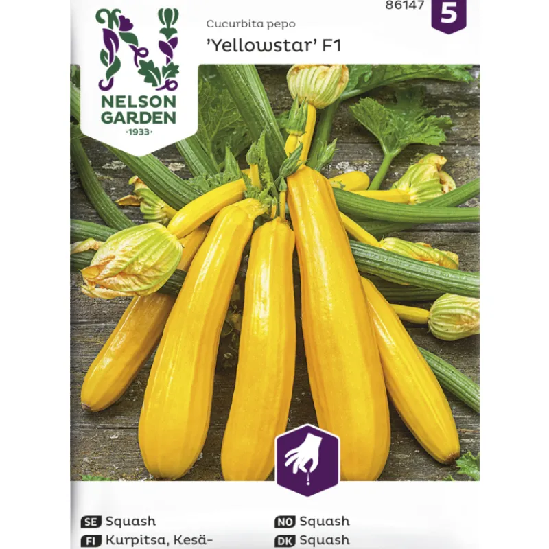 keskurpitsa-siemen-nelson-gard-jwUxdeEv-0.webp Nelson Garden Basic Kasvien Ja Nurmikonsiemenet-Kesäkurpitsa Siemen Yellowstar F1