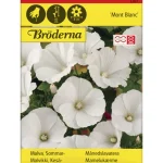 Bröderna Nelsons Kasvien Ja Nurmikonsiemenet-Kesämalvikki Mont Blanc Siemen