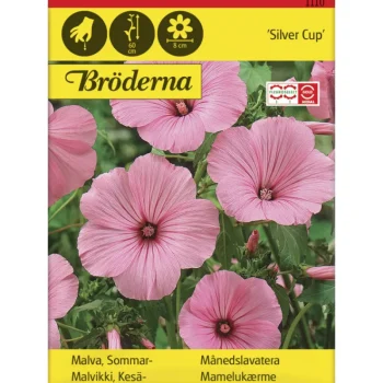 Bröderna Nelsons Kasvien Ja Nurmikonsiemenet-Kesämalvikki Silver Cup Siemen