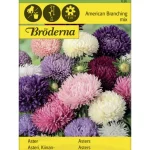 Bröderna Nelsons Kasvien Ja Nurmikonsiemenet-Kiinanasteri American Branching Siemen
