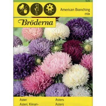 Bröderna Nelsons Kasvien Ja Nurmikonsiemenet-Kiinanasteri American Branching Siemen