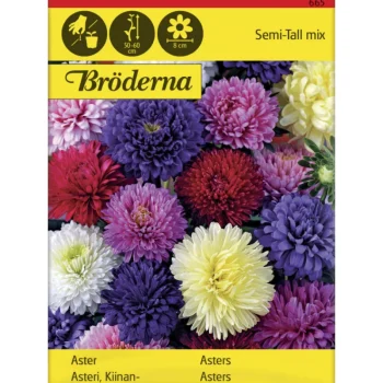 Bröderna Nelsons Kasvien Ja Nurmikonsiemenet-Kiinanasteri Semi Tall Väriseos Siemen