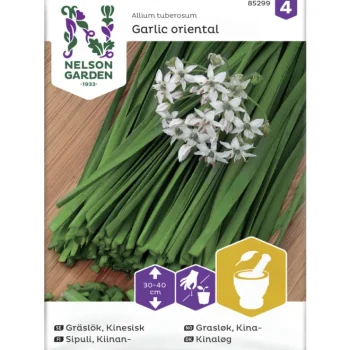 Nelson Garden Basic Kasvien Ja Nurmikonsiemenet-Kiinansipuli Siemen