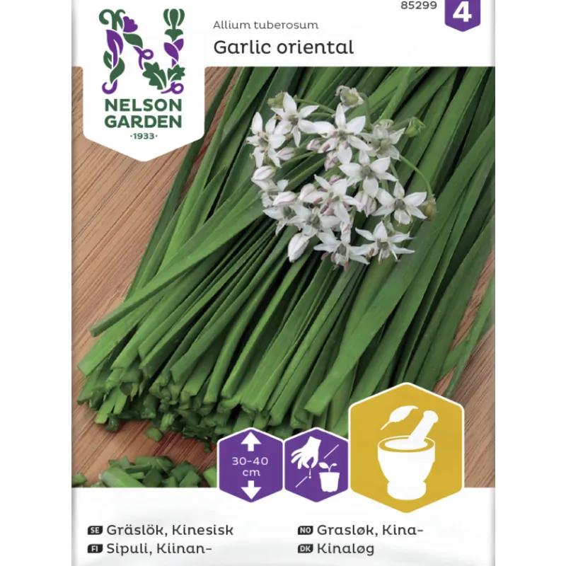 kiinansipuli-siemen-nelson-gar-QtBidFqf-0.webp Nelson Garden Basic Kasvien Ja Nurmikonsiemenet-Kiinansipuli Siemen