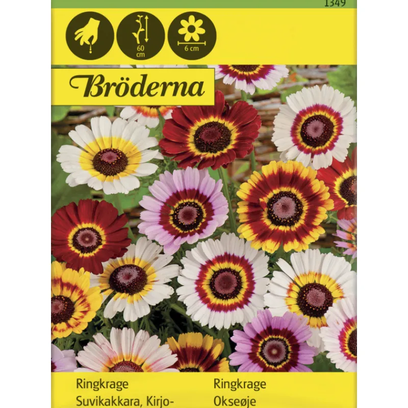 kirjosuvikakkara-siemen-brdern-IzwvjBaj-0.webp Bröderna Nelsons Kasvien Ja Nurmikonsiemenet-Kirjosuvikakkara Siemen