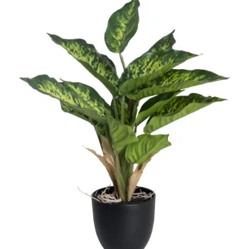 Kotikulta Tekokasvit-Kirjovehka 36 Cm Ruukussa