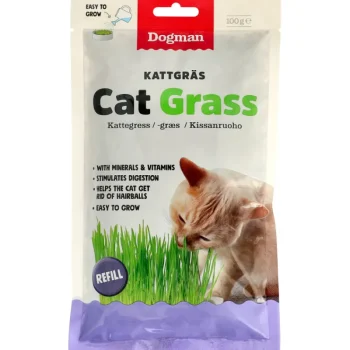 Dogman Kissanruoka^Kissanruoho 100 G Kotikasvatukseen