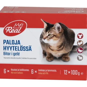 Real Cat Kissanruoka^Kissanruoka 12 X 100 G Lihalajitelma